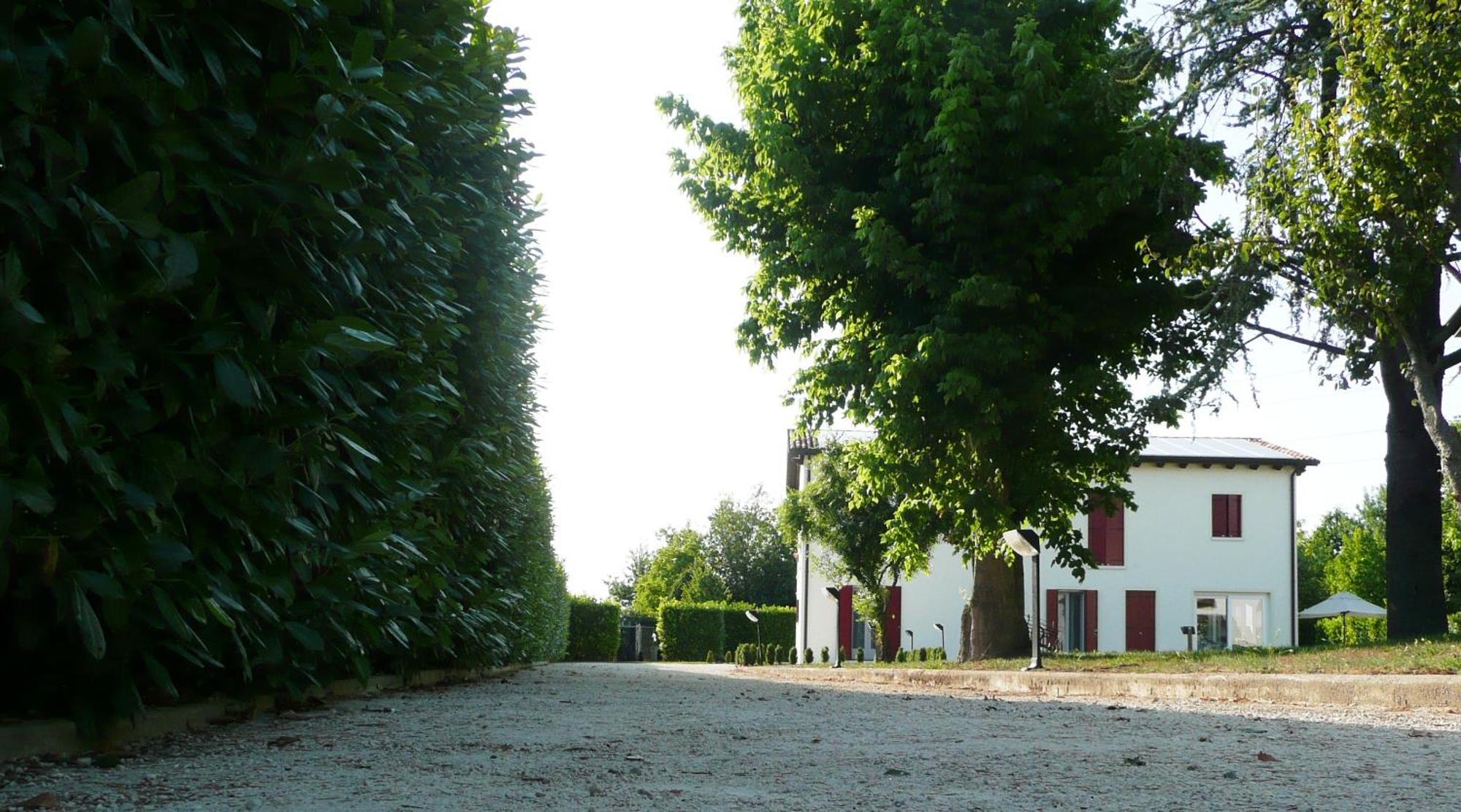 Agriturismo Campoverde Camponogara エクステリア 写真